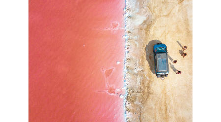 哥倫比亞可見識到全球罕見的現象「粉紅海灘」。