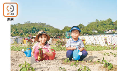 位於大棠山道的開心花園農莊最近新設一個名為「農夫體驗」的工作坊，讓大小朋友齊齊體驗耕種樂趣。