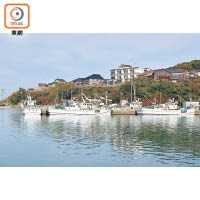 在間人港其實只有5艘小漁船獲批准捕蟹。