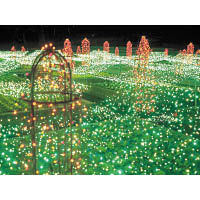 三色堇夢幻庭園佔地甚廣，以燈飾來表達三色堇盛放的故事。