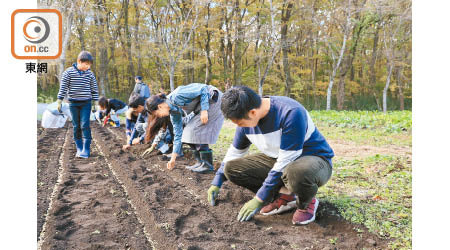 Farmers Lesson有工作人員向住客授課，講解當日農務的種種，大家都認真學習一番呢。