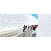 雪之大谷是立山黑部的著名景點，壯闊的雪牆一生人必要看一次。