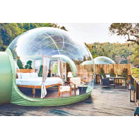 Jungle Bubble用高科技透明聚酯材料製成，備有冷氣、小食飲品籃，以及24小時送餐服務。