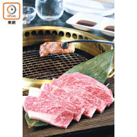 神戶和牛西冷<br>取自牛後腰脊部位，肉質肥美而富油香。