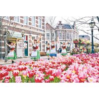 每日有Hello! Spring Show歌舞表演，表演人員穿上荷蘭傳統服裝載歌載舞。
