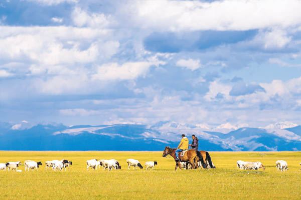 熱爆神曲《可可托海的牧羊人》帶紅新疆景點