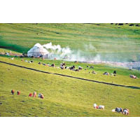 空中草原的山坡草地上，會看到哈薩克族人民搭建的氈房。