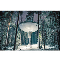 以鋼索懸掛半空的樹屋The UFO，提供電動摺疊梯子方便住客上落。