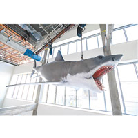 博物館內有不少珍貴的電影展品，例如這條1975年《大白鯊》電影唯一完整保留的大白鯊模型，長約25呎，花了7個月時間修復。