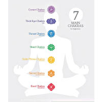 人體7大脈輪（Chakra）包括：海底輪、腹輪、臍輪、心輪、喉輪、眉心輪及頂輪。