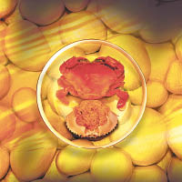 清蒸黃油蟹<br>原汁原味的做法，可充分品嘗到蟹油的油脂香。（e）