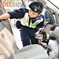 搜查犬與領犬員配合搜查汽車，阻截毒品流入本港。