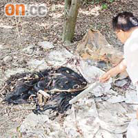 疑遭非法屠宰的水牛，遺下牛頭及染血牛皮，發出劇臭。	（吳欽旺攝）