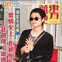 《蘋果日報》於九六年十月六日，擅自盜用當時東方旗下刊物《東方新地》的「王菲懷孕乘飛機」的獨家照片和雜誌封面。