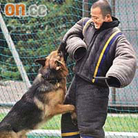 瀋陽來的護衞犬Don示範制服犯人。	（孫冰玉攝）