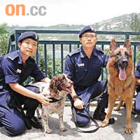 懲教署成功培訓出可以搜索手機的警衞犬。