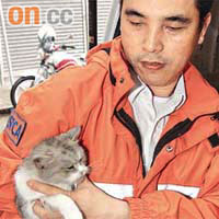 獲救短毛小貓由愛護動物協會職員帶走。	（林少兒攝）