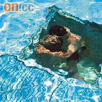 上月十日，一名十四歲英國男童在泰國芭堤雅一水上樂園游泳時遭抽水系統吸着溺斃。	（資料圖片）