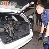 警員出動緝毒犬搜查涉案男子的私家車。