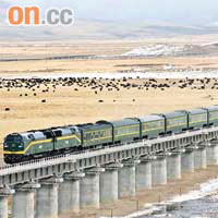 青藏鐵路是全球最長的高原鐵路。（資料圖片）
