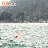 大浪將失蹤男生等四人捲至離岸四百公尺位置（箭嘴示）。