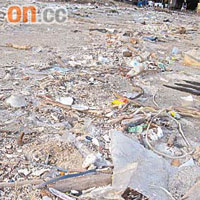 水口灣沙灘垃圾堆積如山，遊人稍有不慎，易被垃圾堆中尖物弄傷。