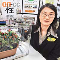 陳春燕設計的智能溫室，讓一般家庭可在室內自行栽種小型食用蔬菜。