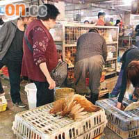 長居深圳港婦染禽流感，圖為港人在深圳街市購買雞隻。