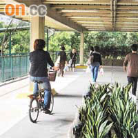 不少居民騎單車駛上行人天橋，對途經行人構成危險。