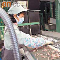 日本電器回收中心會將舊電器拆解後，將不同類金屬分開。