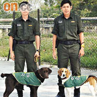 新增的兩隻檢疫偵緝犬，左為Zane，右為Maggie後日起在各入境口岸執勤。	（圖片由政府新聞處提供）