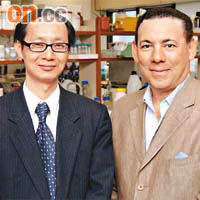 黃永傑（左）及港大牙醫學院教授白華比共同進行中藥對骨骼生長幫助的研究。