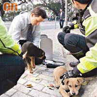 愛心醫獸為唐狗小兄弟檢查，旁為救起小狗的警員。	（馬竟峰攝）