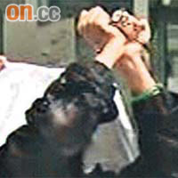 臧家宜昨日披麻戴孝到台北地檢署要求提前入獄，並自行戴手銬。（電視畫面）