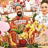 新春花展會推出八元特價蝴蝶蘭，限量出售一百棵。