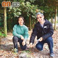 魏遠娥（左）指，背後一大片常綠的華南青岡樹林，是十多年前移除台灣相思樹得來。