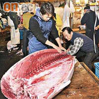有本港飲食集團早前在日本以高價投得一條藍鰭吞拿魚作招徠，被保育組織批評鼓吹食用瀕危物種。