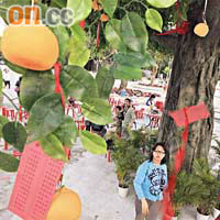 林村許願廣場設置仿真許願樹，供市民掟膠橙寶牒。	（蘇文傑攝）