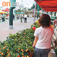 康寧道年宵花市內場面冷清人流稀少。	（麥潤田攝）