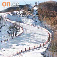 江原道滑雪場