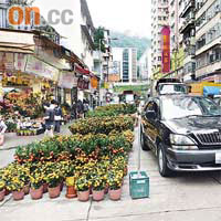 工廠街一條行車線被花店放置大量年花及盆桔，佔用整條行車線。