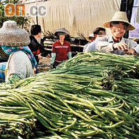 海南省出產的豆角被驗出含禁用農藥。