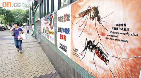 蚊子可傳播登革熱，市民應做好防蚊措施。