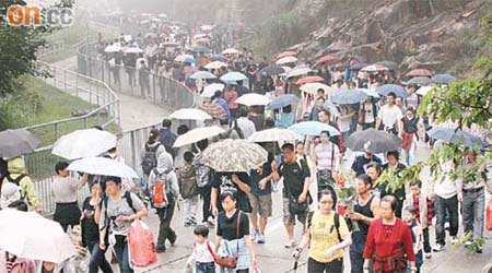 昨日下微微雨，市民要邊拿傘子，邊走「長命斜」上山祭祖。	（陳德賢攝）