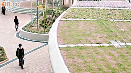 底部<br>行人通道上蓋也種植綠色植物，加強綠化。