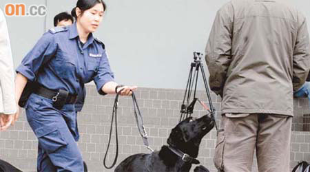 警隊為提升緝毒能力，部分已屆退休年齡的緝毒犬將會「翻閹」。