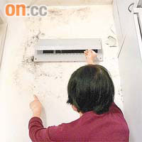 王太去年自行維修牆壁，但持續滲漏已蔓延至電箱位置，擔心釀成意外。