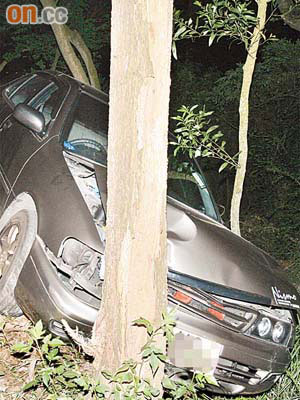 肇事私家車剷落山坡撞樹，車身傾側。	（楊日權攝）