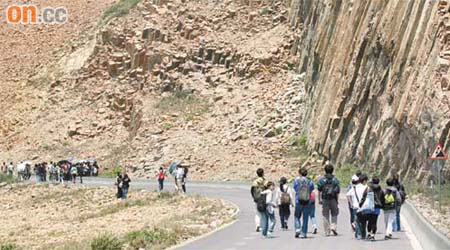 六角火山岩柱聞名的「萬宜地質步道」，有多條連綿數十米的「牛屎車痕」。	（張琦攝）