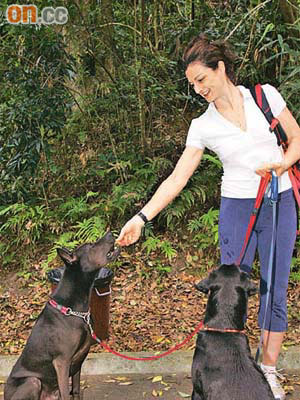 Shady（左）獲女主人餵餅乾獎勵，旁為狗主另一隻愛犬。	（馬景峯攝）
